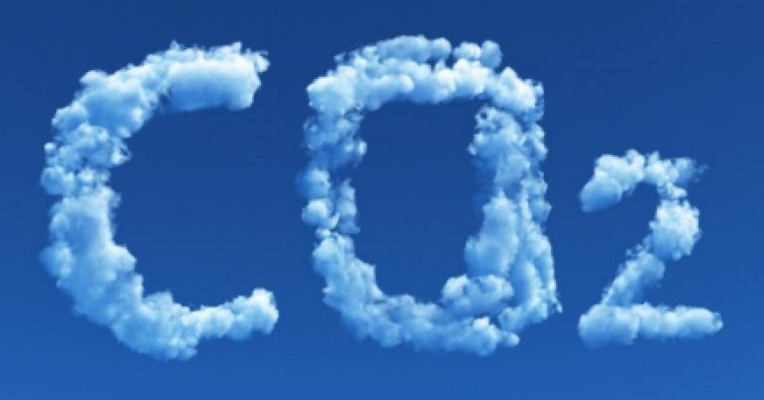 La UE lanza la primera norma voluntaria para certificar absorciones permanentes de carbono