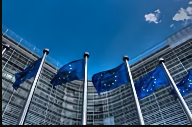 Opinion at EESC February plenary session points out the need to establish a clear vision for the future of EU energy system