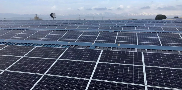 Capenergie 4 firma una alianza con Prosolia para desarrollar proyectos solares en España