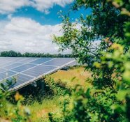 Low Carbon brought around 240 MW of solar capacity into UK operation over the previous year