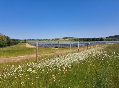 Consent sought for biodiversity-boosting Staffordshire solar farm