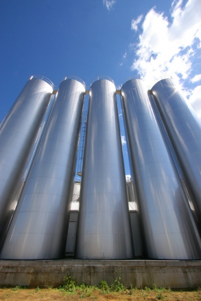 1.200 MW a subastar en cogeneración entre 2022 y 2024, ¿puerta abierta al crecimiento de la biomasa como combustible?