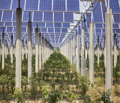 La española Soltec y TSE se alían para impulsar la agrivoltaica en Francia