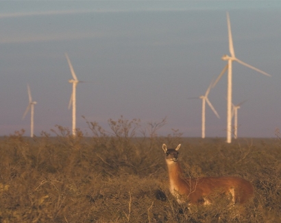 Vestas suministrará 18 máquinas de 4,5 megavatios a la cuarta fase del parque argentino Aluar