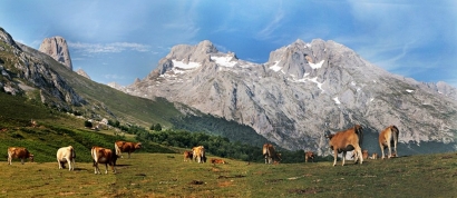 El sector fotovoltaico de Asturias reclama mayor apoyo institucional