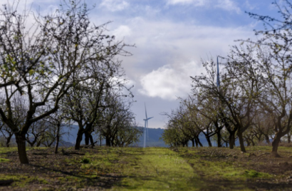Forestalia se adjudica 778 MW en la subasta y afirma que los precios ofrecidos son competitivos