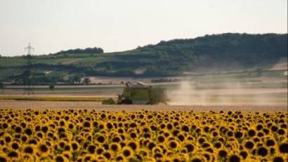 Navarra convoca ayudas para explotaciones agrícolas y ganaderas por valor de 118.579 euros