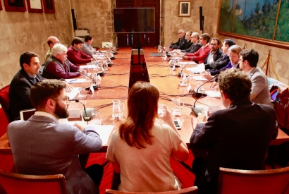 Baleares triplicará la potencia de su parque fotovoltaico regional en los próximos cuatro años