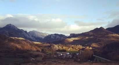 Arriba las Ramas y ecooo inyectan Savia Solar en El Bosque de Edilio