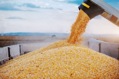 Bunge y Olleco se alían para abastecer de aceites alimentarios a Europa y producir combustibles renovables