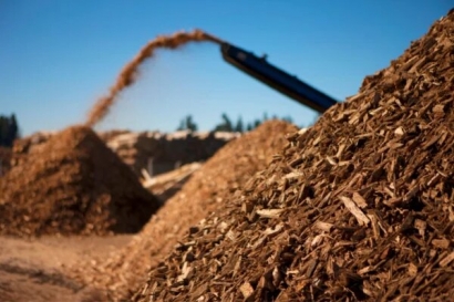 Bioenergy Ibérica firma una alianza con la danesa CM Biomass para la distribución de biomasa