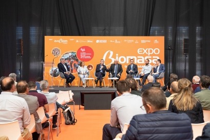 ¿Cómo puede ayudar la bioenergía a descarbonizar la industria?