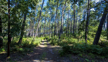 El Gobierno ofrece 30 millones de euros a proyectos innovadores de reducción de emisiones