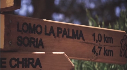 El Consejo Insular de Aguas presenta alegaciones a la propuesta de retribución de Salto de Chira