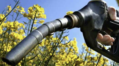 Los productores europeos reclaman más biodiésel sostenible Made in UE