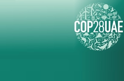  Los ecologistas, sobre el borrador de la CoP: entre el "despropósito" y el "absoluto desastre" 