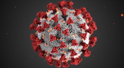 Los ecologistas proponen 19 medidas “ambientales y sociales” para dar respuesta a la crisis del coronavirus