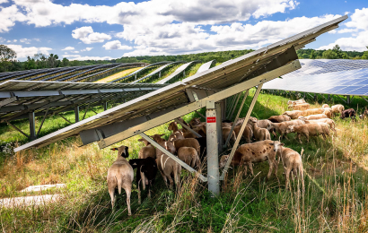 Biden destina casi 100 millones de dólares a investigar cómo conciliar desarrollo renovable y conservación de la naturaleza