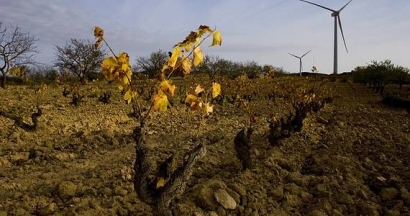 "La electrificación es una gran oportunidad para la España vaciada"