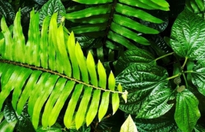 El Ministerio pregunta cómo reducir las emisiones de CO2