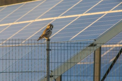 La fotovoltaica creció un 73% en 2023