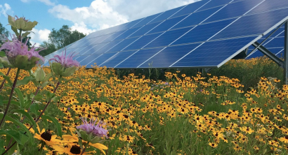 Verdes Equo suma su voz a la necesidad de que renovables y conservación de la biodiversidad avancen de la mano