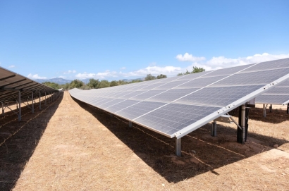 Baleares concilia soberanía alimentaria y energética en un proyecto piloto agrovoltaico