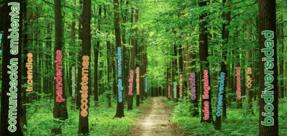 El periodismo ambiental analizará en su próximo congreso la relación entre las energías renovables y la biodiversidad