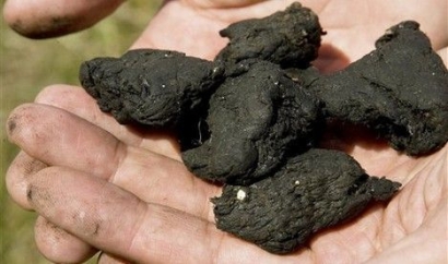 El director general de la Unión Española Fotovoltaica, José Donoso, en el acto de clausura del XII Foro Solar UNEF 2025