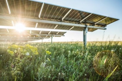 McDonald’s and eBay Partner with Lightsource bp to Power US Operations with Solar