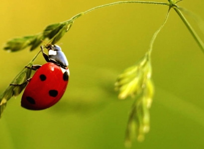 La Comisión Europea ya tiene Plan de acción para la economía circular