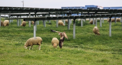 Estas son las siete propuestas electorales del sector solar fotovoltaico