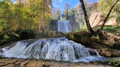 El Monasterio de Piedra calienta sus dependencias con astillas de madera