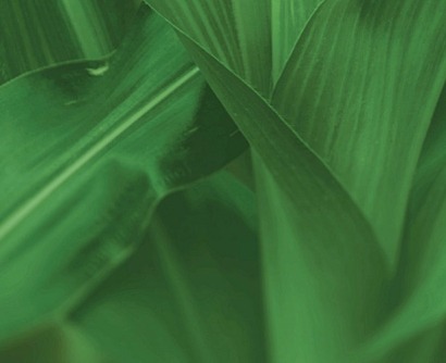 Neogen Introduces CelluSmart Technology for the Biofuel Industry