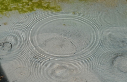 Más de 1.500 millones de euros para el primer Plan de Acción de Economía Circular