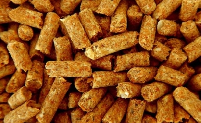  ¿Continuará en 2024 el IVA especial del 5% a los pellets de madera? 