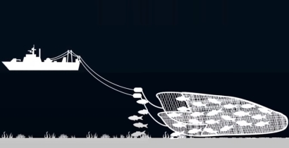 El Gobierno prioriza la pesca de arrastre en detrimento del desarrollo de parques eólicos marinos