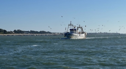 La Eurocámara plantea financiar la renovación de la flota pesquera de la UE para avanzar hacia su descarbonización