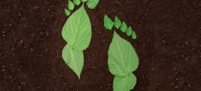 SH2E guía el camino hacia una nueva economía más sostenible y social basada en el hidrógeno