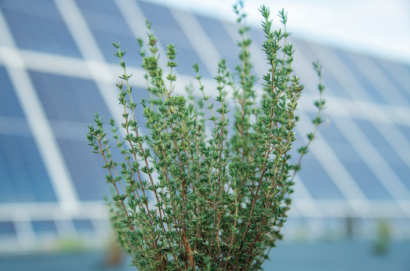 Medioambiente e innovación, en el ADN de Soltec