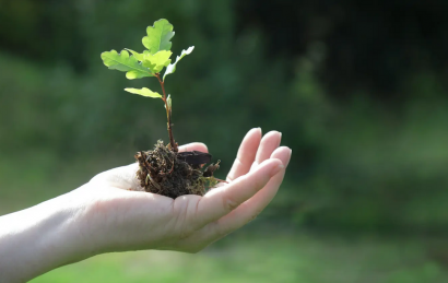 El Climate Leaders Awards premia a la Fundación Renovables y a Ecogestiona