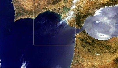 La biodiversidad y el Ejército paralizan el parque eólico que Ferrovial proyecta en aguas de Cádiz
