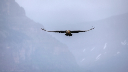 El complejo de los 22 parques eólicos del Maestrazgo de Teruel contraviene la normativa ambiental