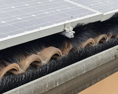 No más palomas en los paneles solares con estos cepillos de Italgam Srl