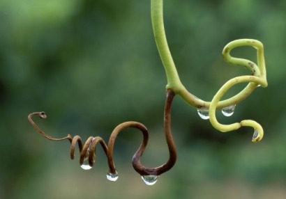 Viñas del Vero impulsa la economía circular del sector vitivinícola para generar metano en su bodega