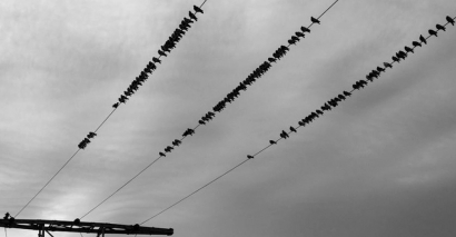 España exportó a Francia en diciembre cuatro veces más electricidad que la que importó