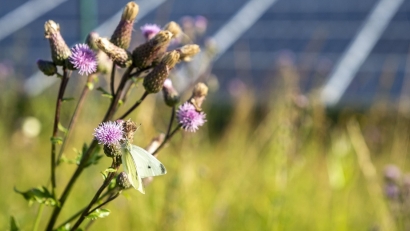 "Tenemos miles de proyectos renovables en España y la mayoría no tienen oposición"