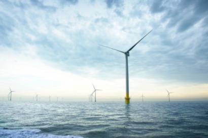Environmental assessment of proposed areas for offshore wind farms
