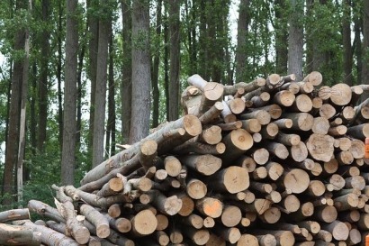 Virginia Company to Invest $7.5 Million in Biomass Expansion