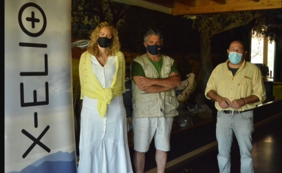 La multinacional fotovoltaica X-Elio y el grupo conservacionista Grefa se alían para proteger al cernícalo primilla